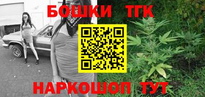 стафф Шелехов
