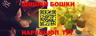 стафф Шелехов