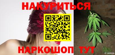 стафф Шелехов