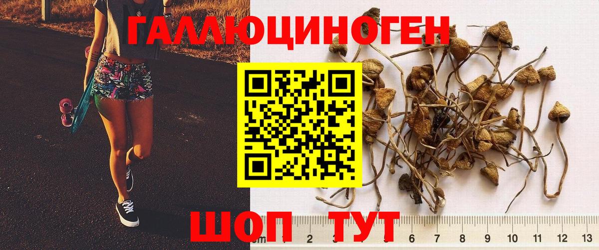 Галлюциногенные грибы прущие грибы  где можно купить наркотик  Вход с VPN  Рославль  Галлюциногенные грибы Cubensis 